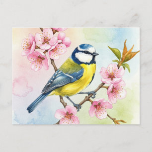 Cartão Postal Titmouse, Sakura, Primavera