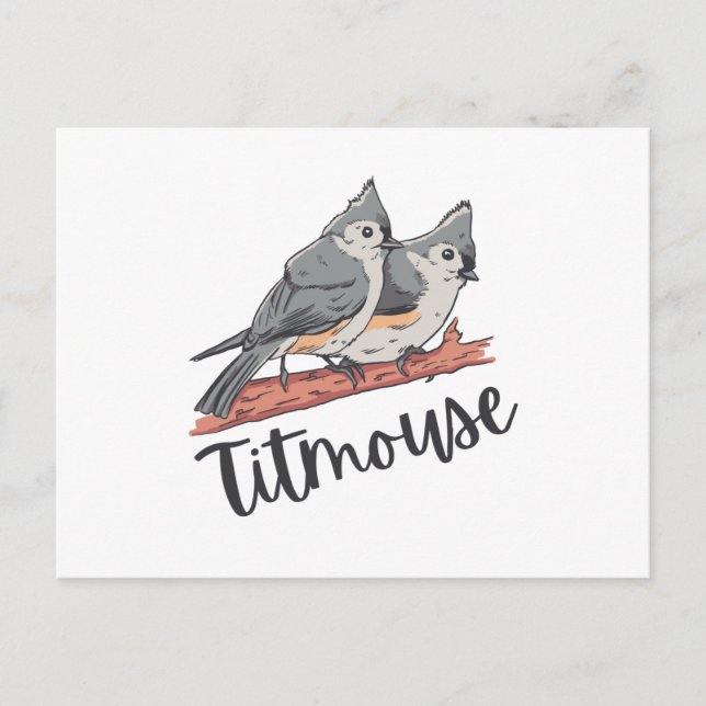 Cartão Postal Titundal Tufado Titmice Cute Bird Gift (Frente)
