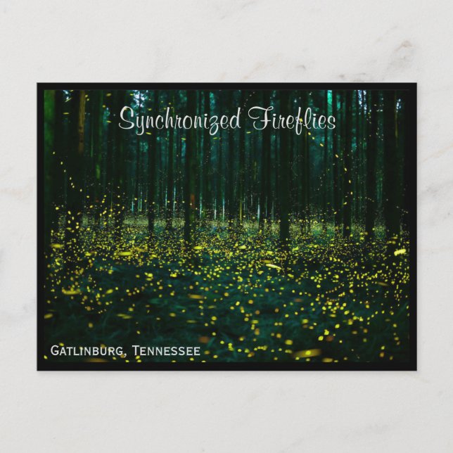 Cartão postal TN do Tennessee Gatlinburg (Frente)