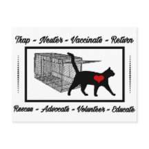 TNR Cat Resgate Trap Neuter Return Adote Volunteer