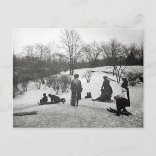 Cartão Postal Toboagem no Central Park, 1906
