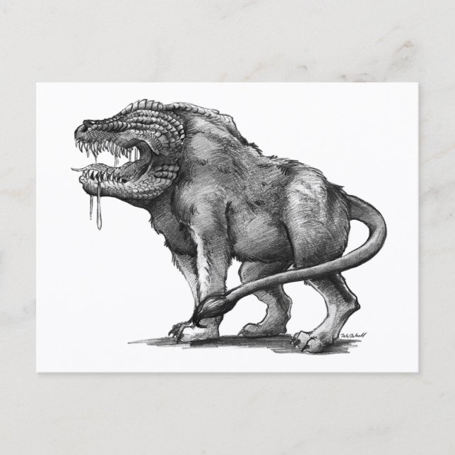 Cartão Postal Toby - Cartão-postal (Frente)