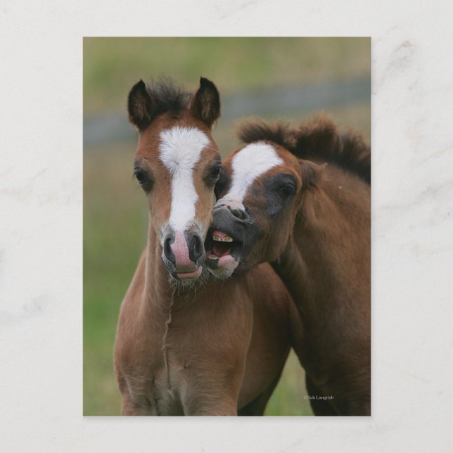 Cartão Postal Tocar Pés (Frente)