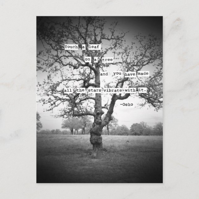 Cartão Postal Tocar uma folha... (Frente)