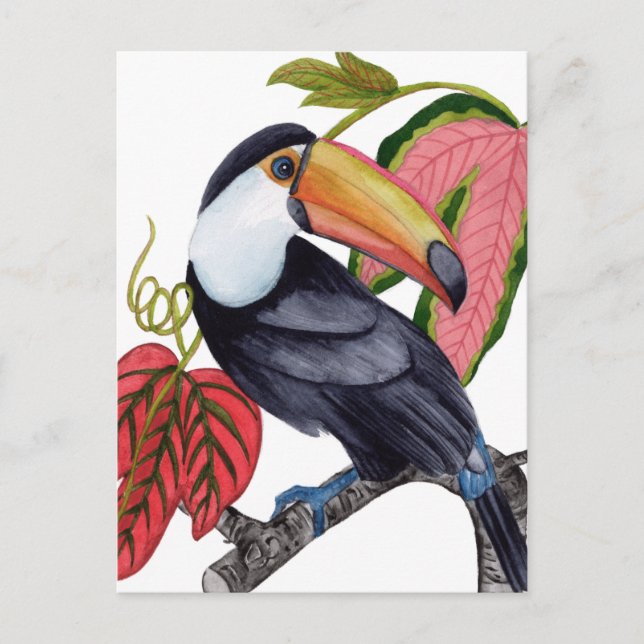 Cartão Postal Toco Toucan (Frente)