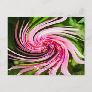 Cartão Postal Toda Enrolada