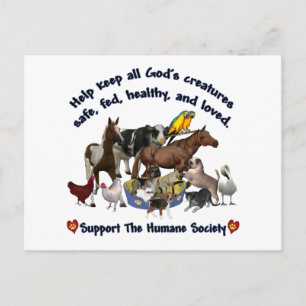 Cartão Postal Toda Sociedade Humana das Criaturas de Deus