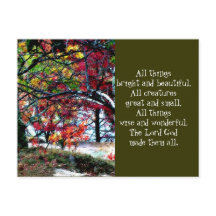 Todas as coisas brilhantes e bonitas