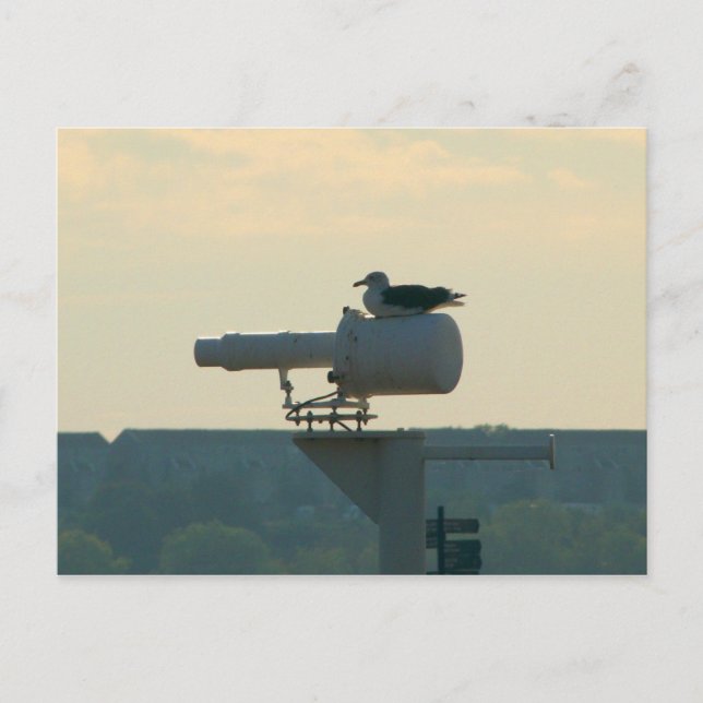 Cartão Postal Todas as suas bases pertencem a nós (Frente)