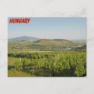 Cartão Postal Tokaj vineyards, Hungria