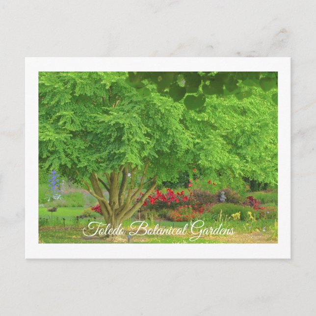 CARTÃO POSTAL TOLEDO BOTANICAL GARDEN, TOLEDO, OHIO USA (Frente)