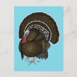 Cartão Postal Tom de Bronze de Turquia