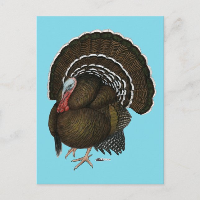 Cartão Postal Tom de Bronze de Turquia (Frente)