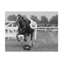 Tom Mix Trick Ringue