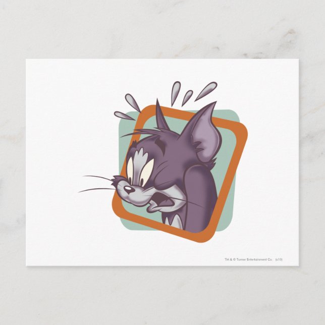 Cartão Postal Tom Sassustdy Cat (Frente)