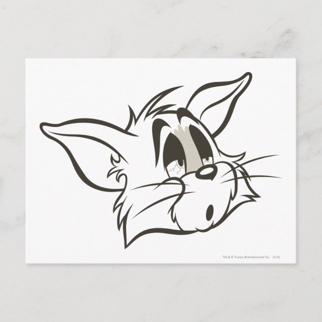Cartão Postal Tom Sleepy Cat (Frente)