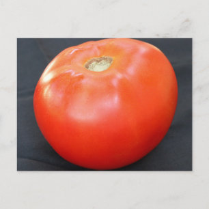 Cartão Postal Tomate Jersey 4