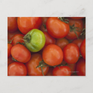 Cartão Postal tomate vermelho com um verde à venda no mercado