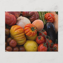 Cartão Postal Tomates Heirloe