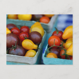 Cartão Postal Tomates Heirloe