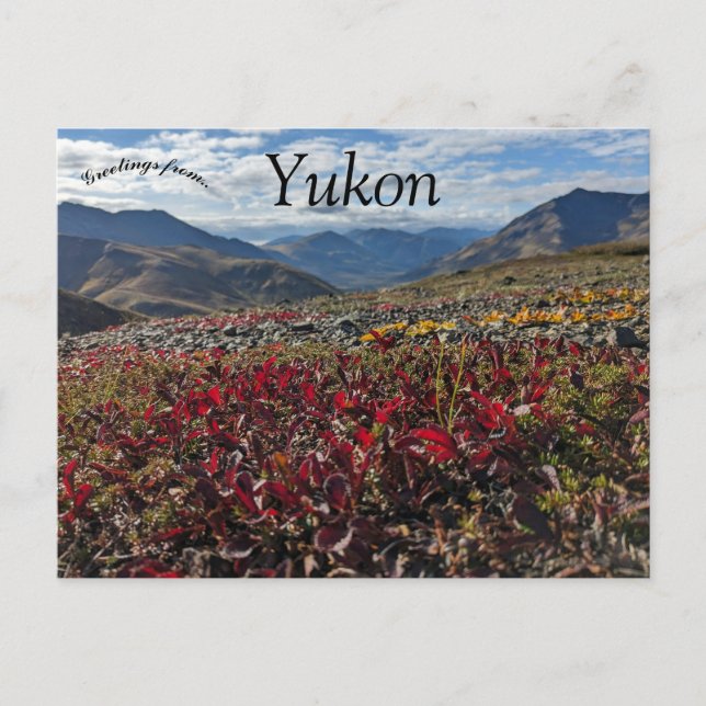 Cartão Postal Tombstone Territorial Park Dawson Yukon Canadá (Frente)