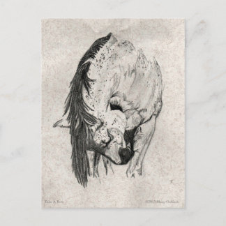 Cartão Postal Tome uma Arco de Mary Gubisch