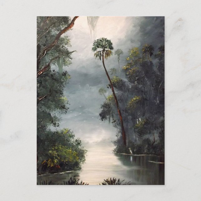 Cartão Postal Tomoka River Florida (Frente)