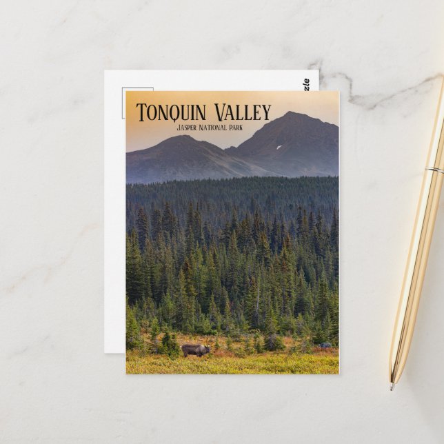 Cartão Postal Tonquin Valley, Jasper NP Caribou Postcard (Frente/Verso In Situ)