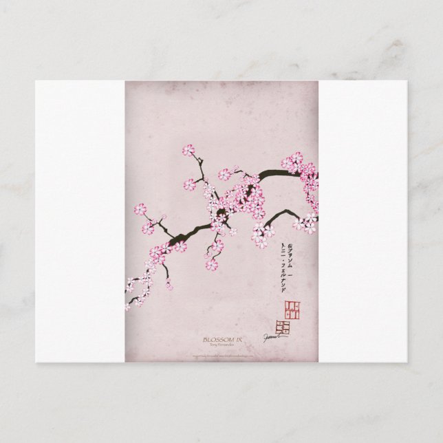 Cartão Postal tony fernandes floresce antigo 9 (Frente)