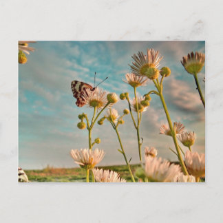 Cartão Postal Toque da poeira mágica da onça