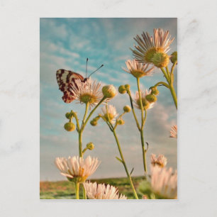 Cartão Postal Toque de poeira mágica de Oz