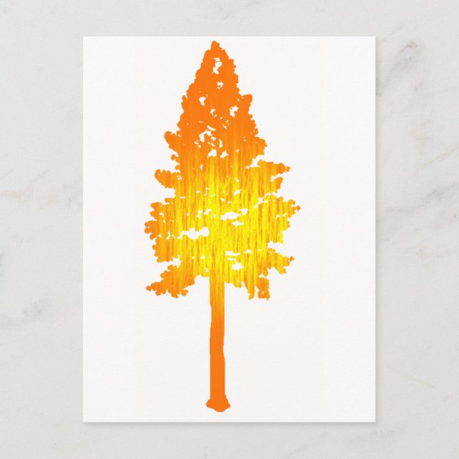 Cartão Postal Toque de Sol (Frente)