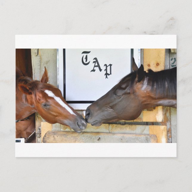 Cartão Postal Toque em mim girando (Frente)