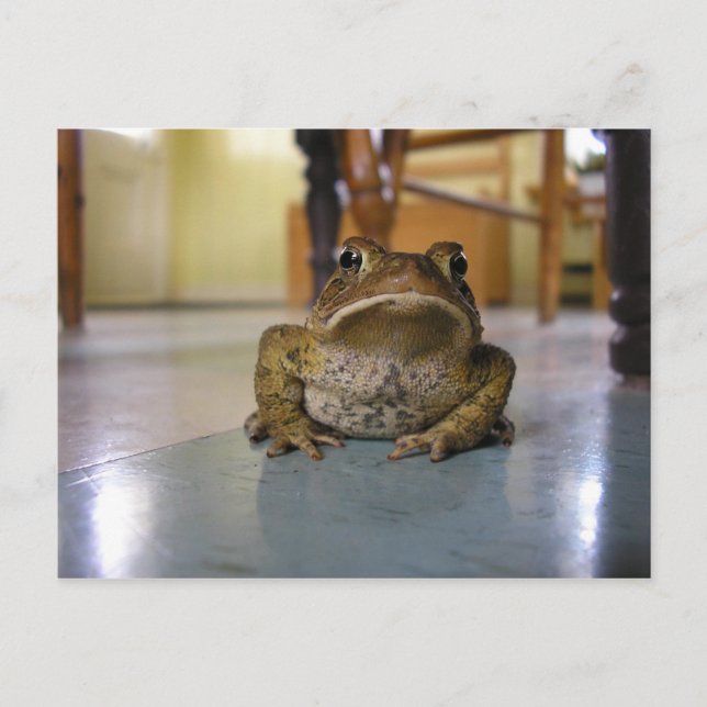 Cartão Postal Toque inicial (Frente)