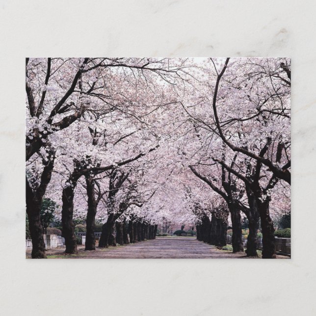 CARTÃO POSTAL TÓQUIO (Frente)