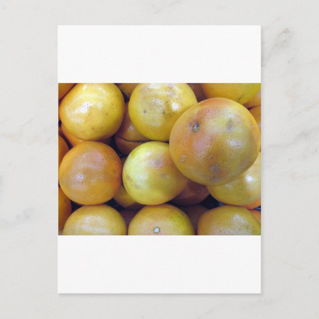 Cartão Postal Toranja Rosa (Frente)