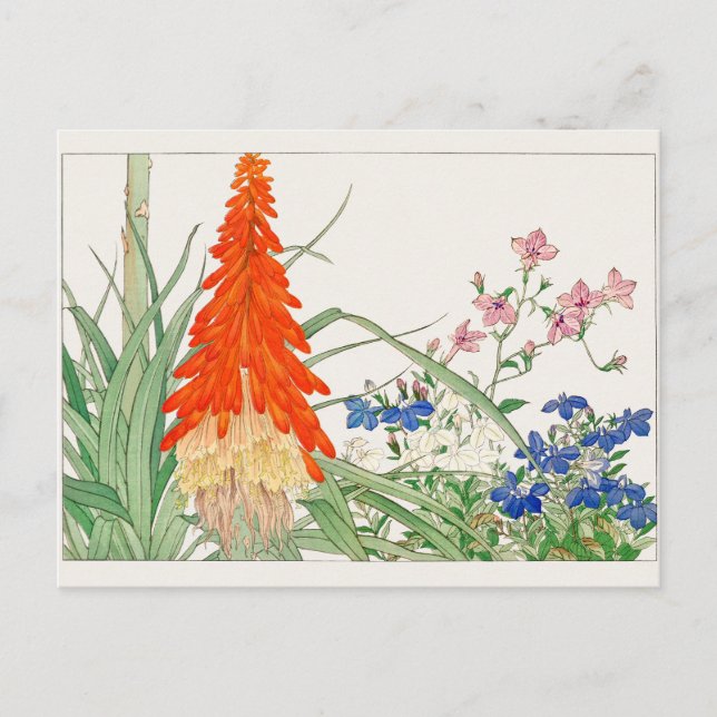 Cartão Postal Torch Lily, Lobelia de Tanigami Konan (Frente)
