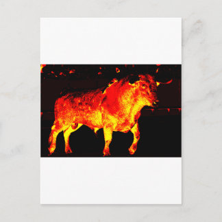 CARTÃO POSTAL TORO BRAVO