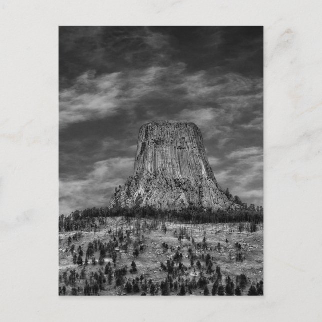 Cartão Postal Torre Devils em Wyoming Black and White (Frente)