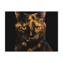 Tortie Cat Love Design nº 2