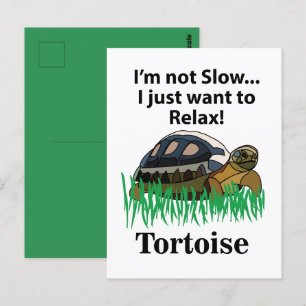 Cartão Postal Tortoise Eu Só Quero Relaxar O Animal Pet Engraçad
