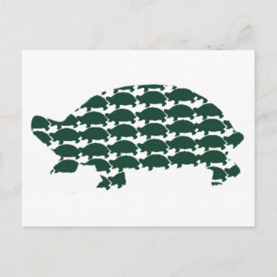 Cartão Postal Tortoises