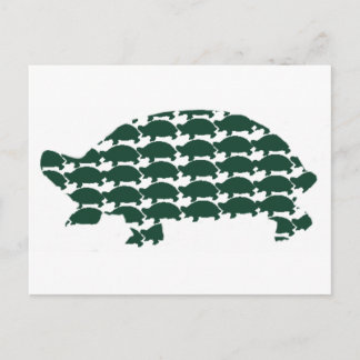 Cartão Postal Tortoises