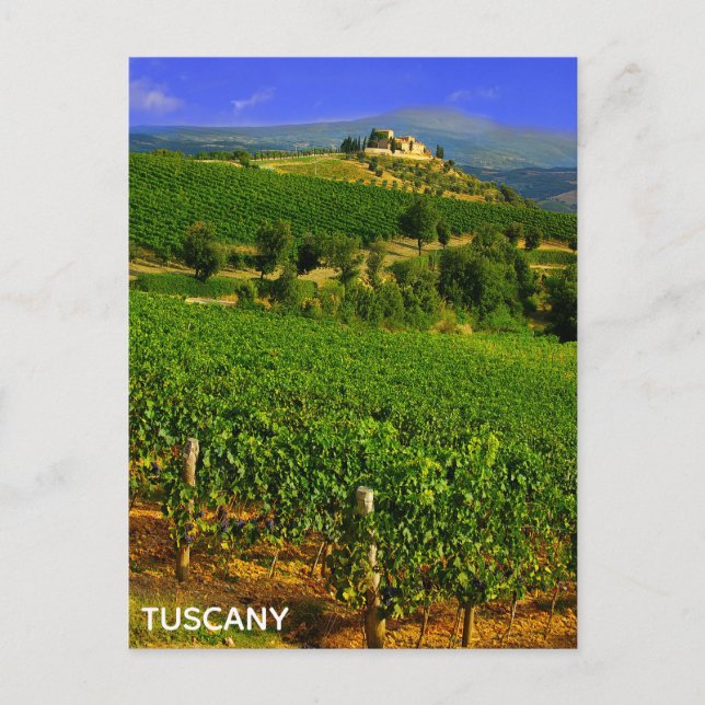 Cartão Postal Toscana Itália Vineyard italiano Villa Viagem (Frente)