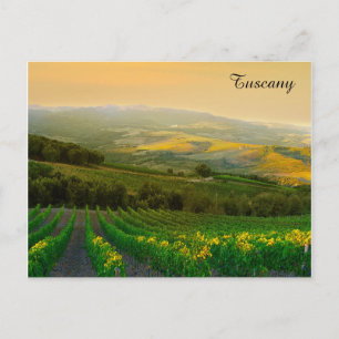 Cartão Postal Toscânia Itália Viagem de vitelo italiano