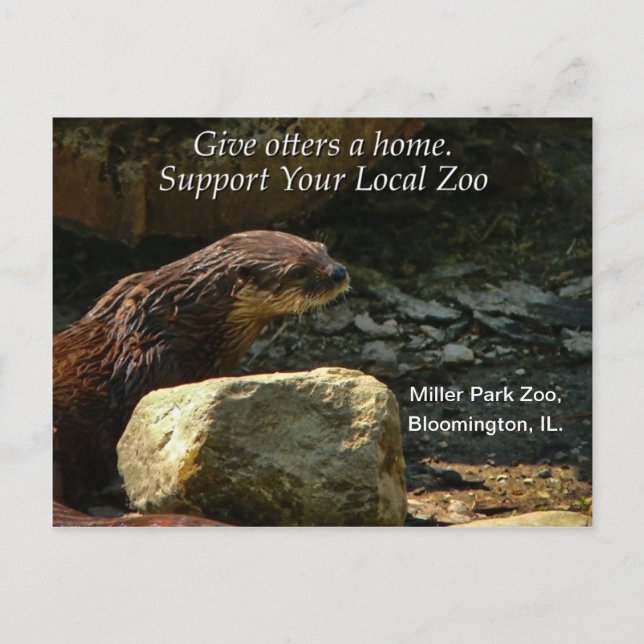 Cartão Postal Totalmente Adorável (Frente)