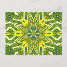 CARTÃO POSTAL TOTEM WILDFLOWER 13