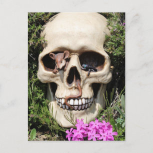 Cartão Postal Totenkopf - Gótico / Postkarte