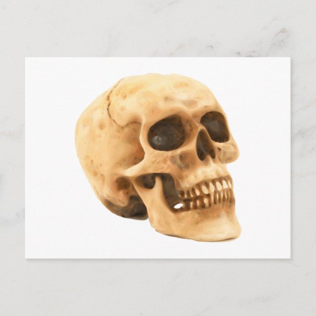 Cartão Postal Totenkopf Schädel skull (Frente)