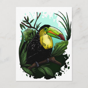 Cartão Postal Toucan